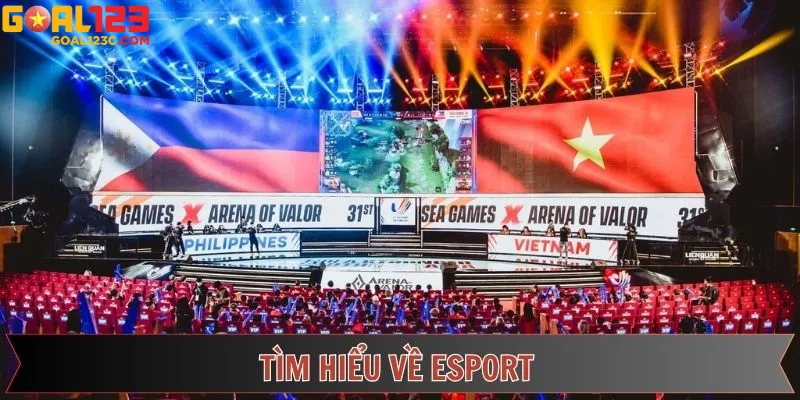 Khám Phá Sân Chơi Cá Cược Thể Thao Điện Tử Đầy Kích Tính