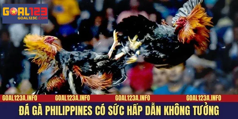 Đá gà Philippines cuốn hút đến mức khó ai có thể rời mắt.