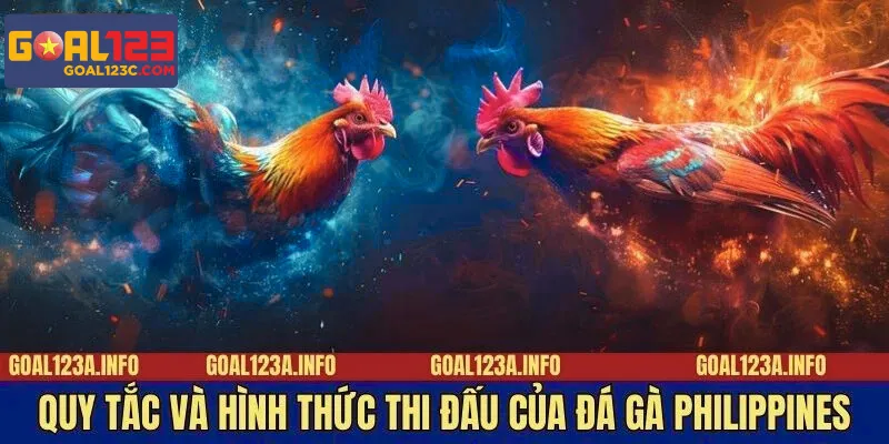 Luật chơi và cách thức tranh tài trong đá gà Philippines luôn khiến người xem tò mò và thích thú.
