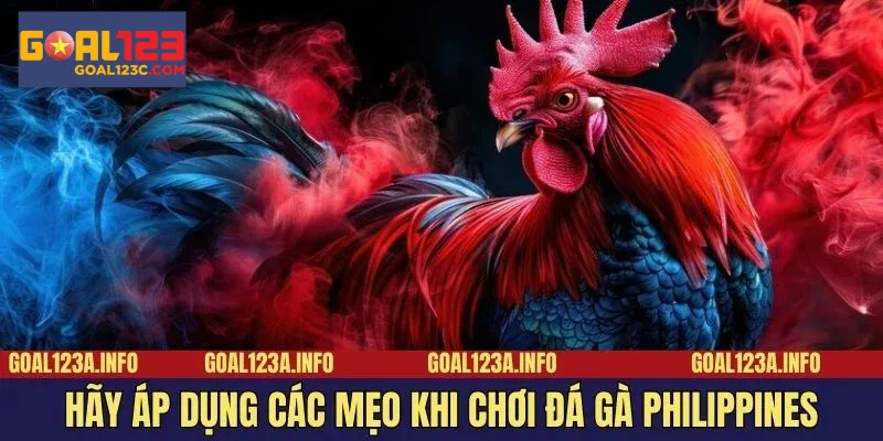 Đừng bỏ lỡ những bí quyết giúp bạn nâng cao cơ hội thắng khi tham gia đá gà Philippines.