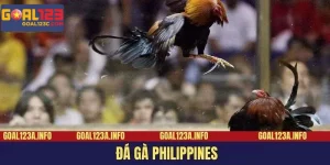 Giới Thiệu sảnh đá gà Philippines